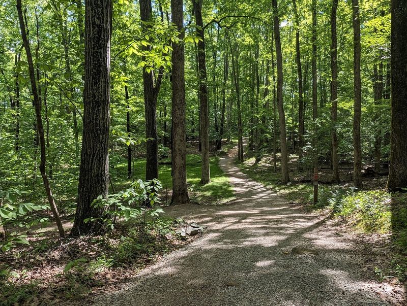 Hiking Trails: A Whole Different Adventure Through 8,000 Acres of Forest