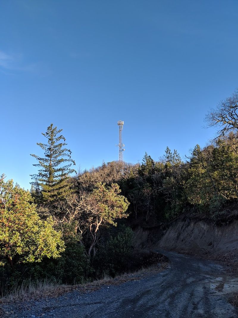 The Cell Tower Summit and Service Road Option