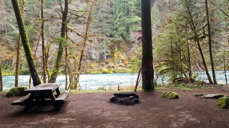 Camping Options Near the Tioga Segment