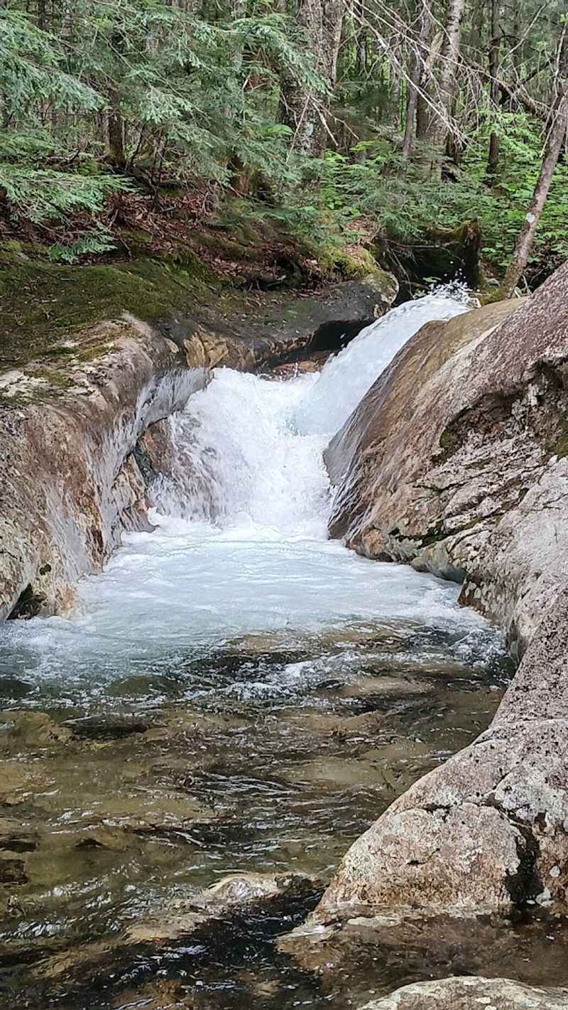 Centennial Pool: The Waterfall Surprise Hiding Mid-Trail