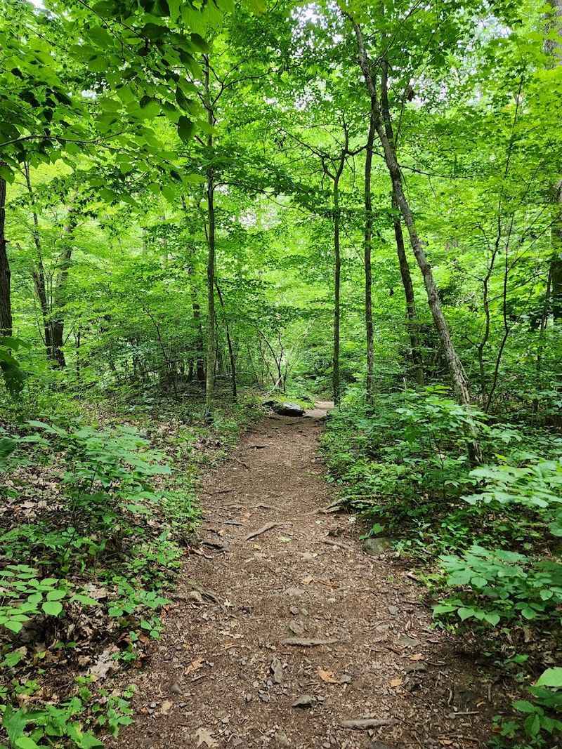 Best Time to Visit and Seasonal Magic