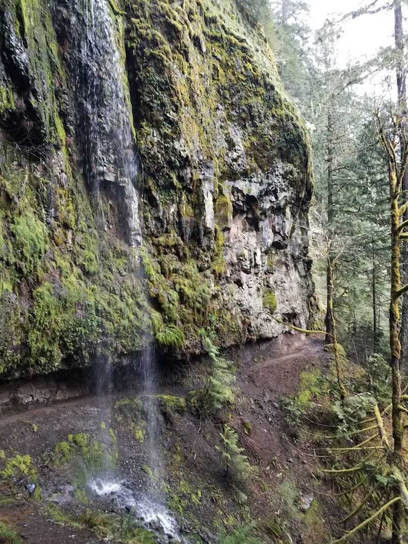 Why This Trail Belongs on Your Oregon Bucket List Why This Trail Belongs on Your Oregon Bucket List