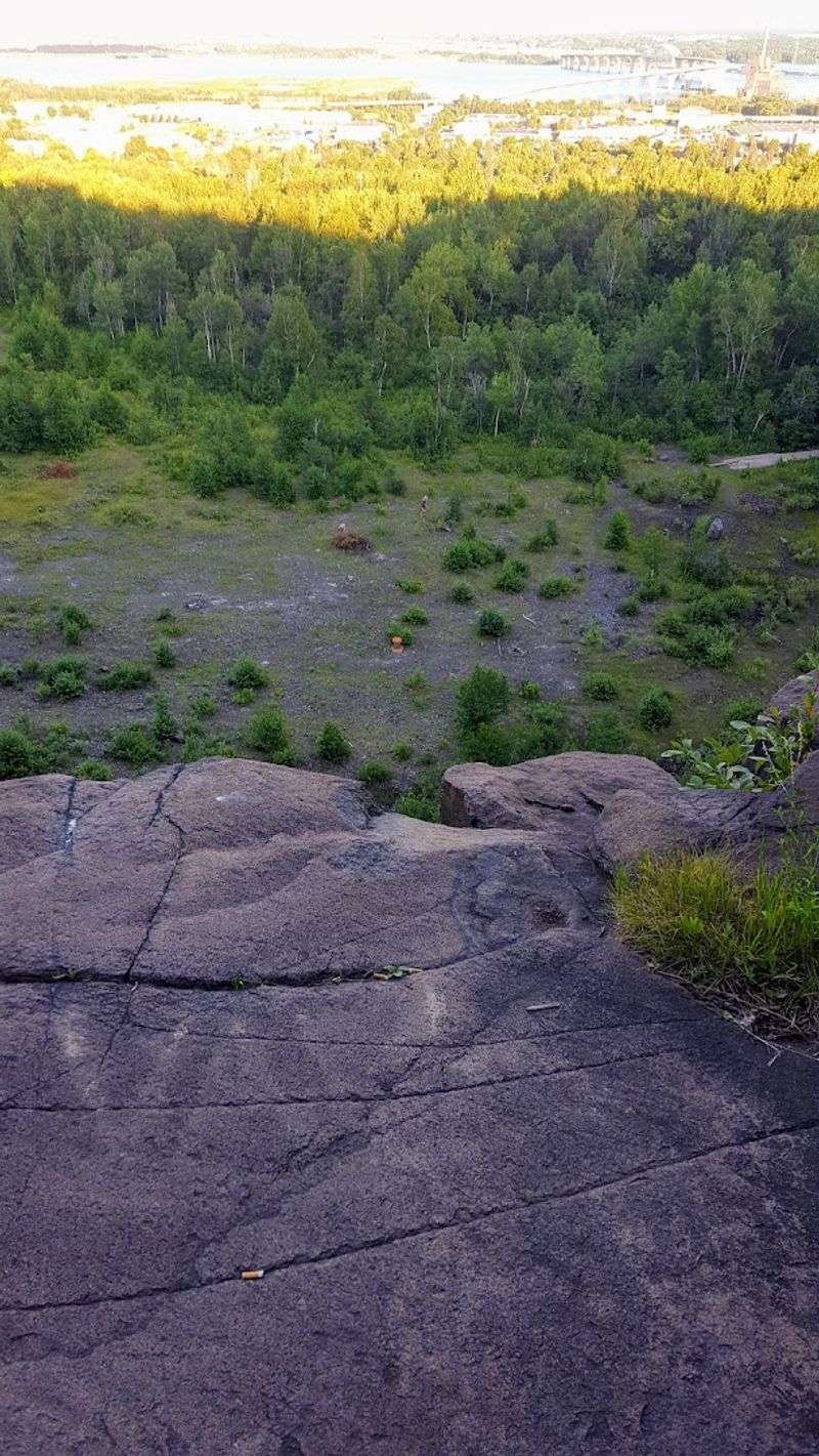 Wildlife Above the Ledges: Eagles and More