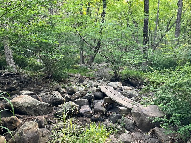 Rocky Terrain and What to Wear on Your Feet