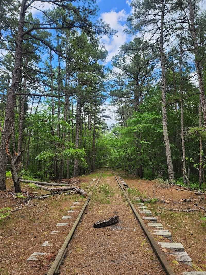 Abandoned Railroad Tracks: History Hiding in the Pines