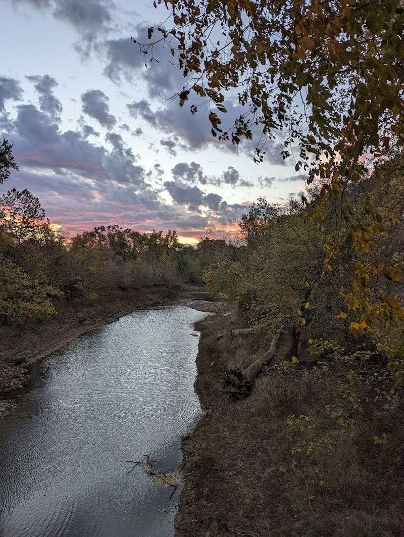 Seasonal Beauty That Changes the Whole Mood