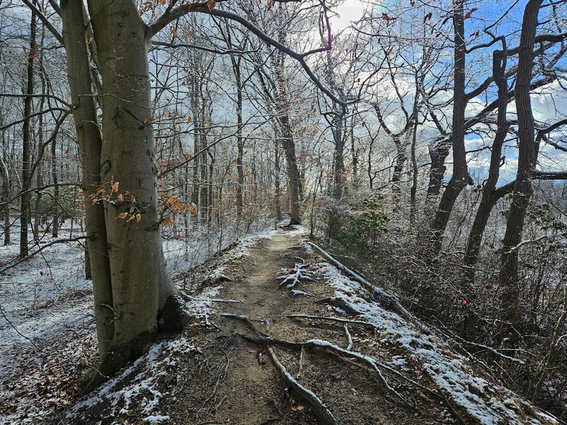 Best Times To Visit And Seasonal Highlights