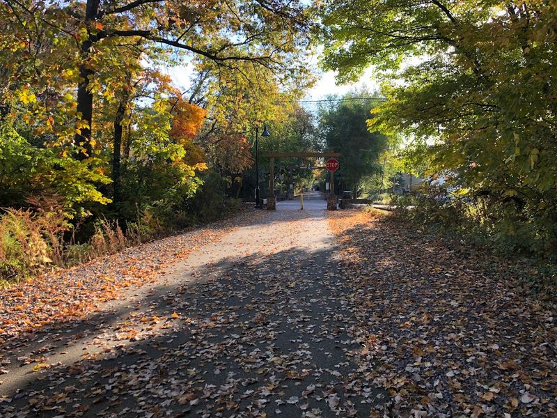 Walking, Jogging, and Biking All on One Path