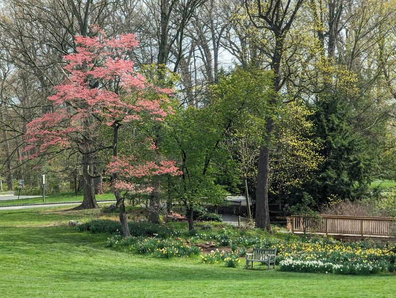 Picnic Spots That Make Lunch Feel Like an Event