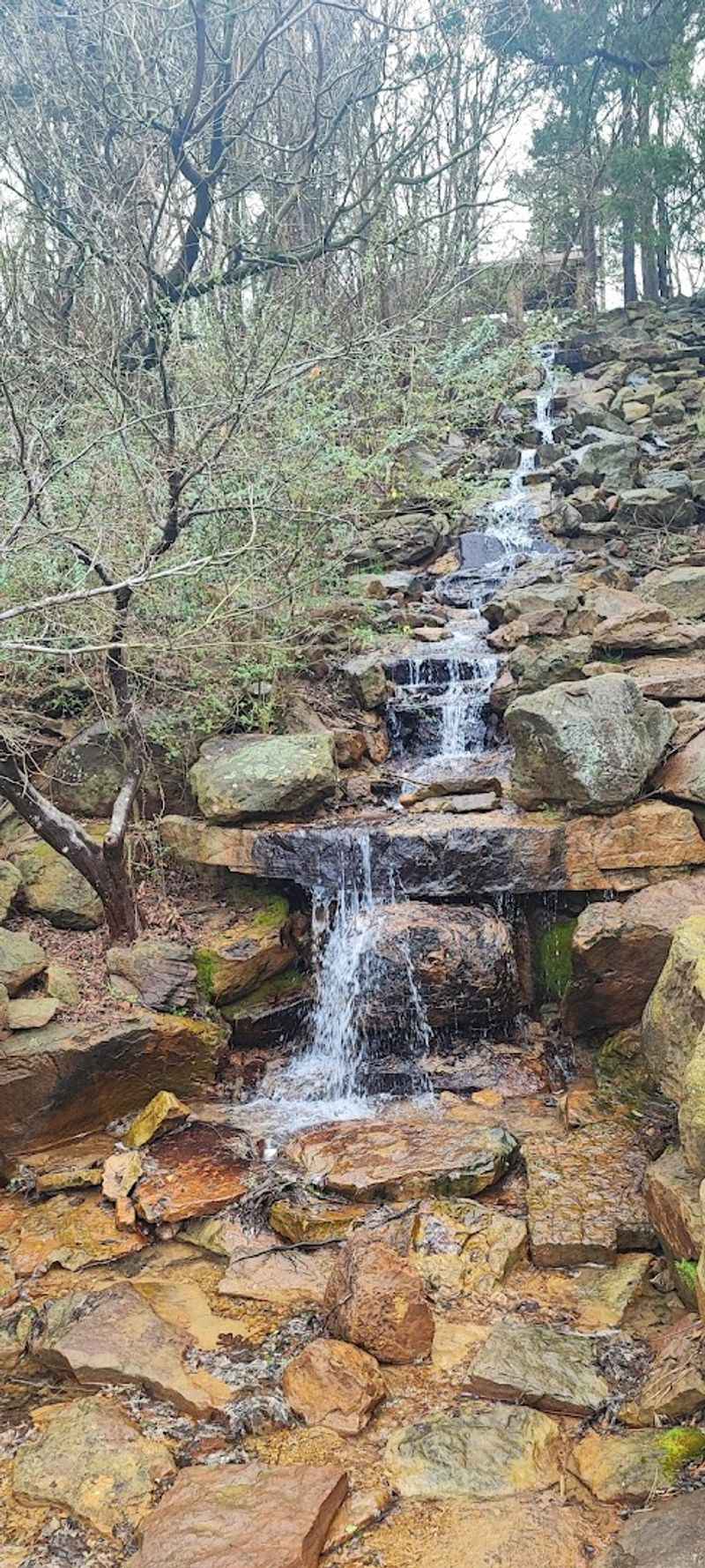 Wisteria Bridges and Water Features Worth Finding