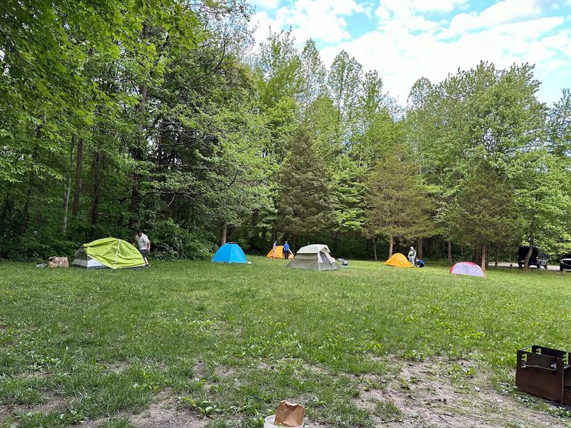 Camping Sites Where Stars Outnumber City Lights