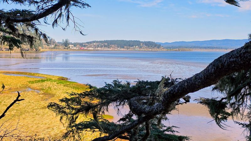 The Canoe Landing and River Views