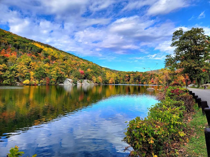 What Visitors Can Do Right Now to Help the Park