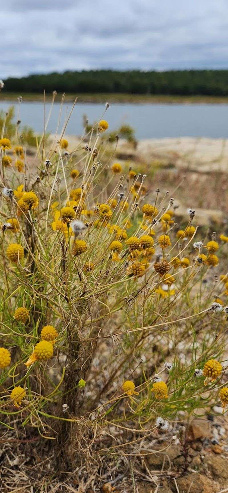 Seasonal Changes Make Every Visit Feel Different