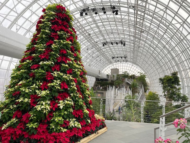 Seasonal Events Transform the Garden Into Something Truly Special