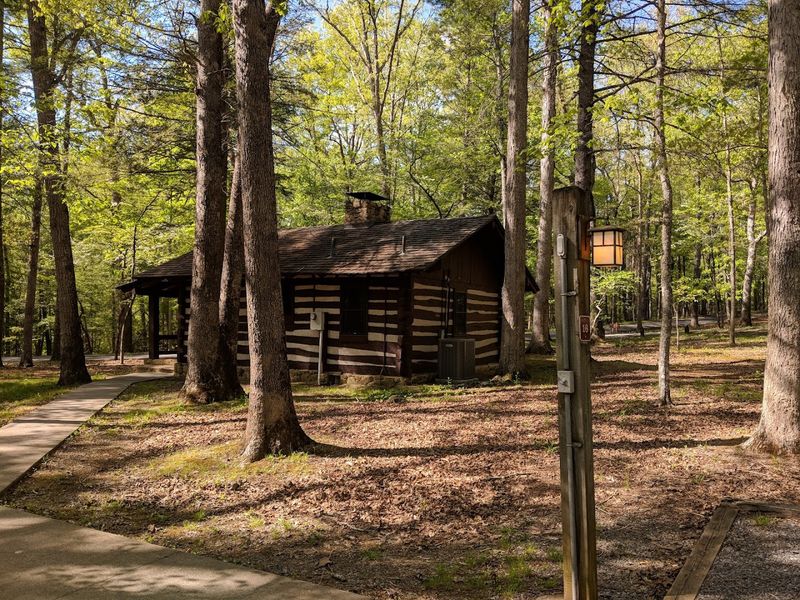 Wildlife Encounters That Will Stop You in Your Tracks