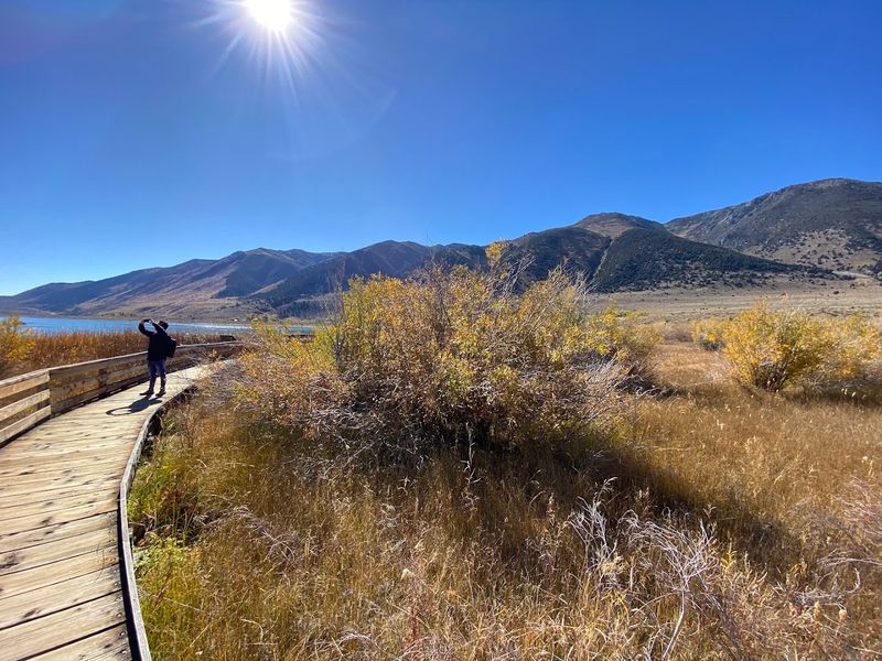 The Shoreline Looks Different Than It Once Did