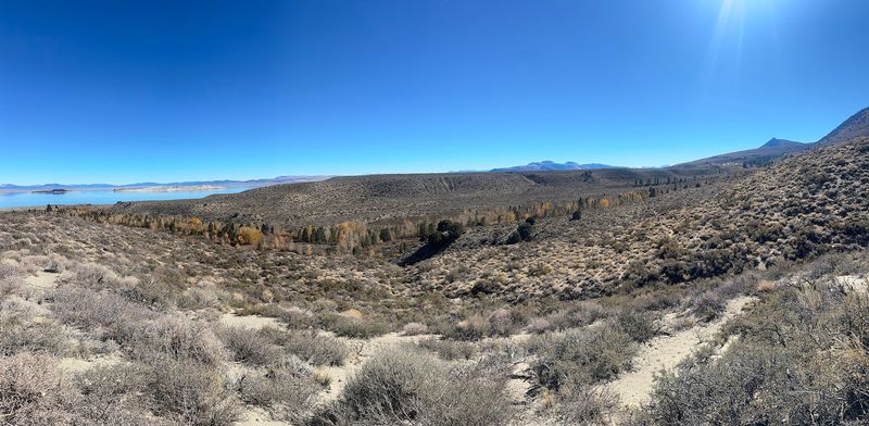 The Shoreline Looks Different Than It Once Did