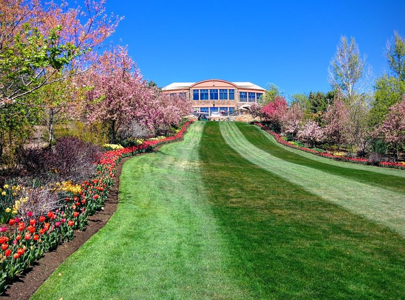 Millions Of Blooms Give The Festival Its Pull