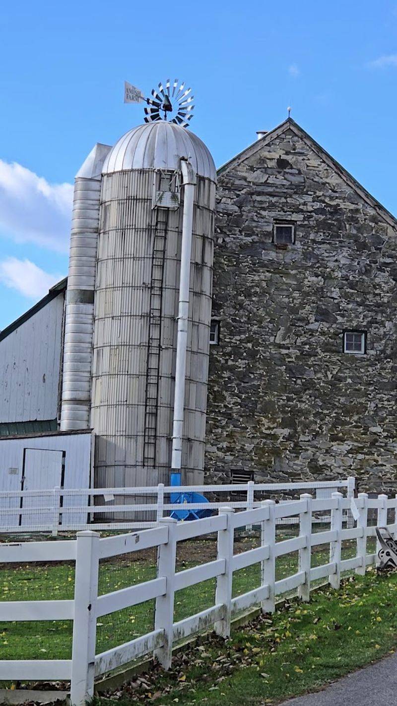 Guided Tours Give The Experience More Depth