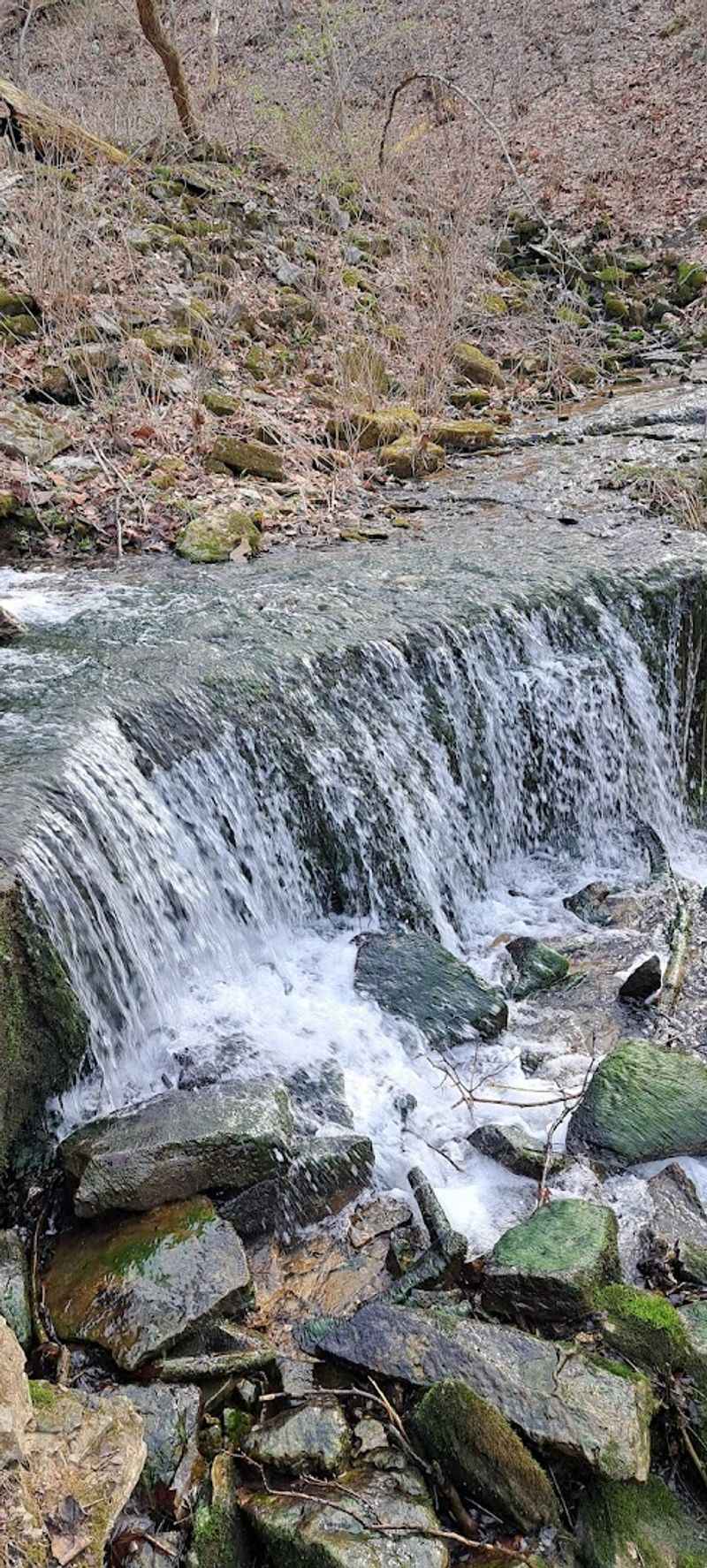A Historic Reservoir That Became a Thriving Wetland