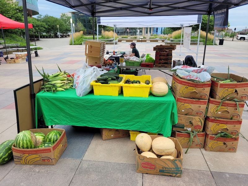 One Last Basket Of Seasonal Finds Before Leaving