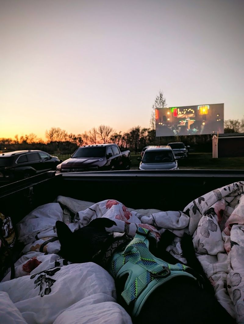 The Magic of Watching Movies Under the Stars