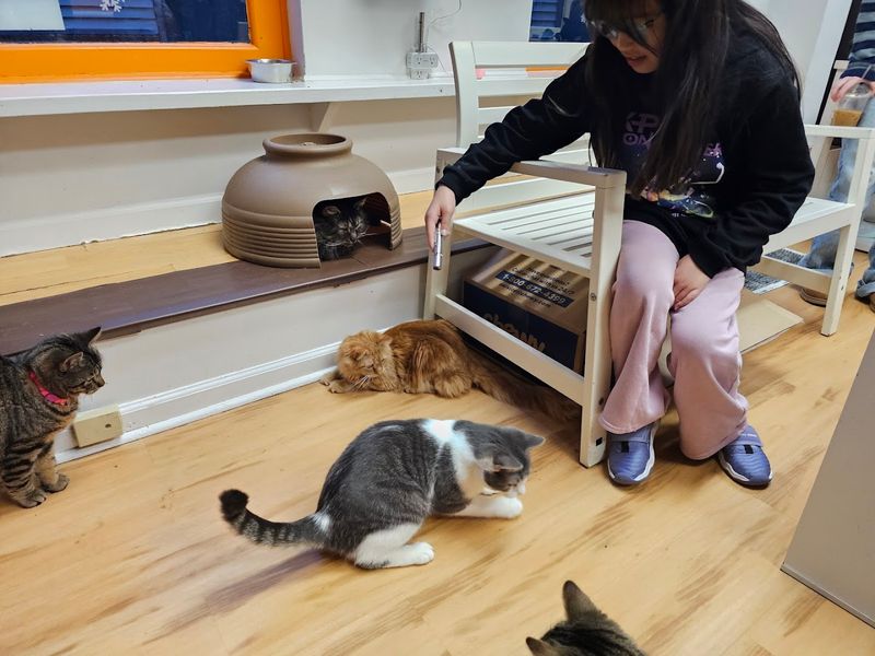 Bright Windows Overlooking The Westville Neighborhood