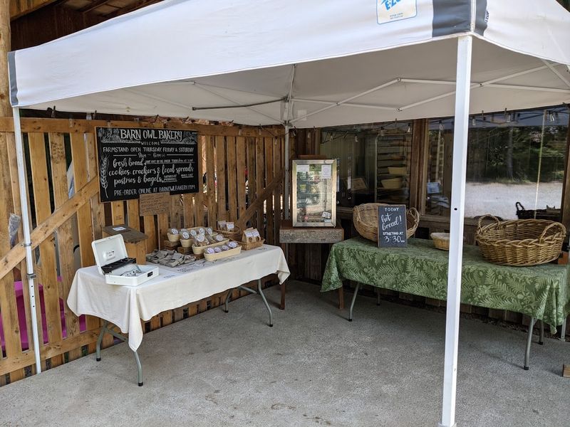 The Oven Cools For Six Hours Before Baking