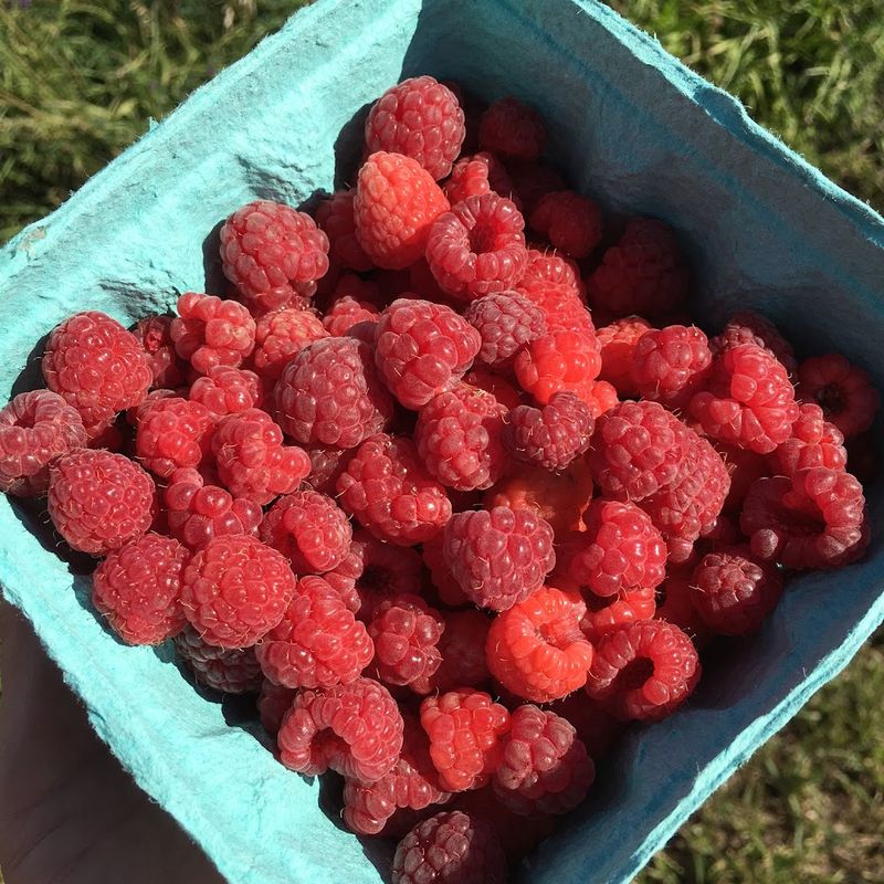 Local Farm Stands and Homemade Goods