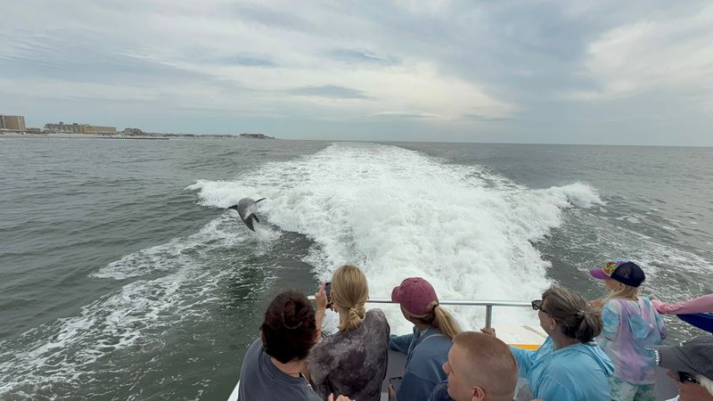 The Crew That Makes the Whole Ride Unforgettable