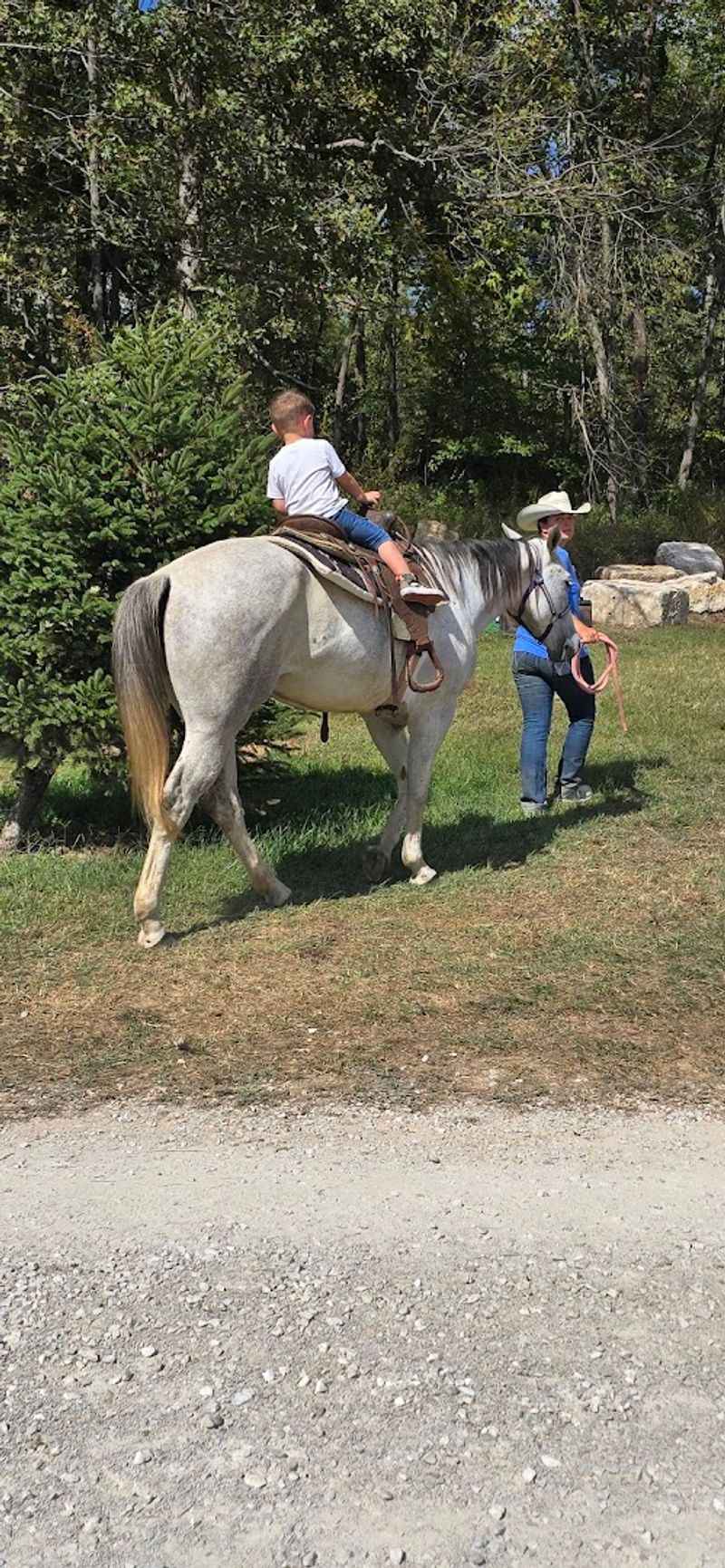 Meeting Farm Animals at the Petting Zoo