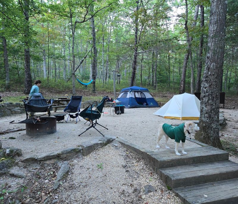 Camping Under a Canopy of Stars