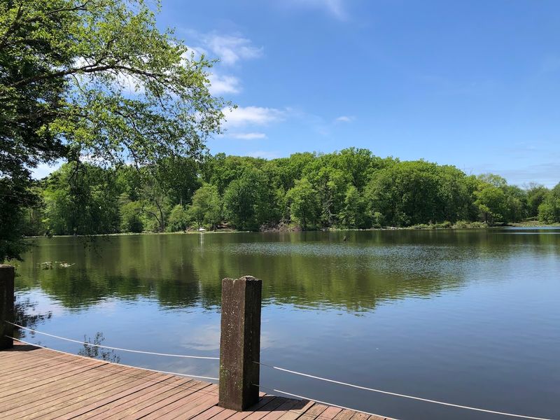Fishing at the Pond: A Surprisingly Chill Way to Time Travel