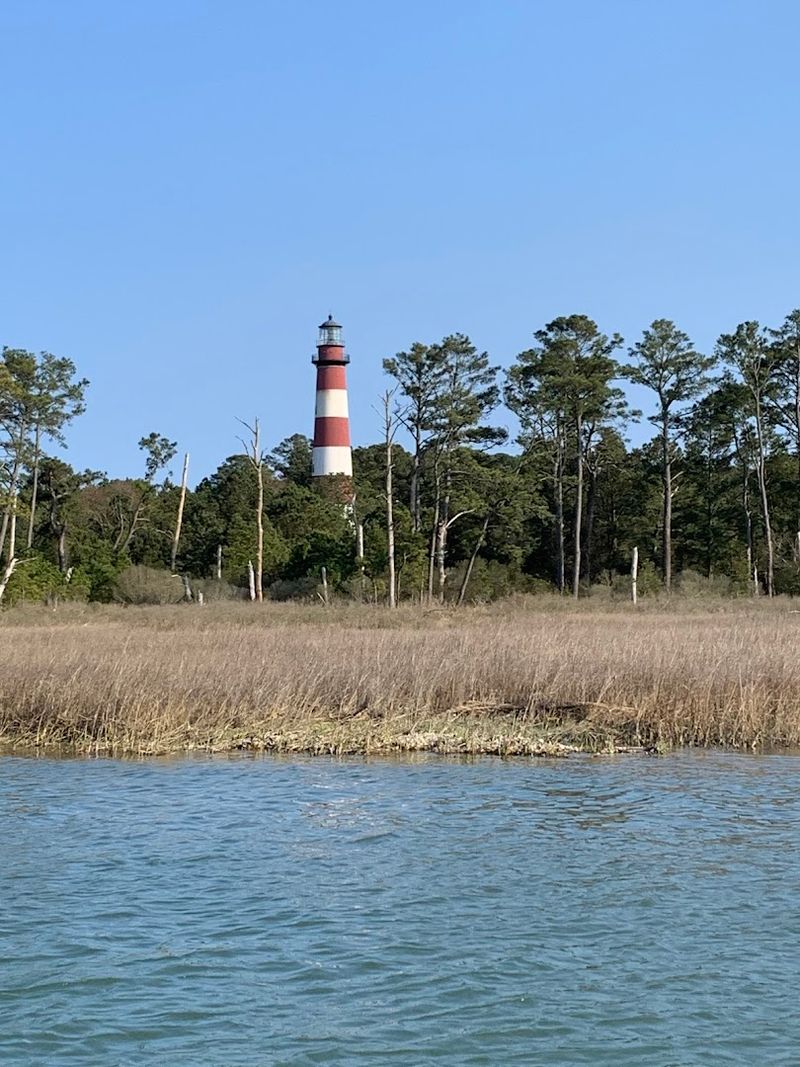 Is Chincoteague Island Still Worth the Trip? Here Is the Honest Answer