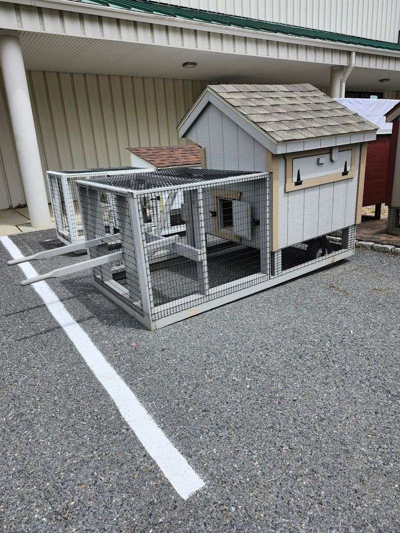 Poultry, Small Animals, and Backyard Farm Life