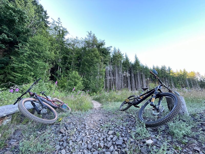 NW Trail Alliance and the Community Behind the Trails