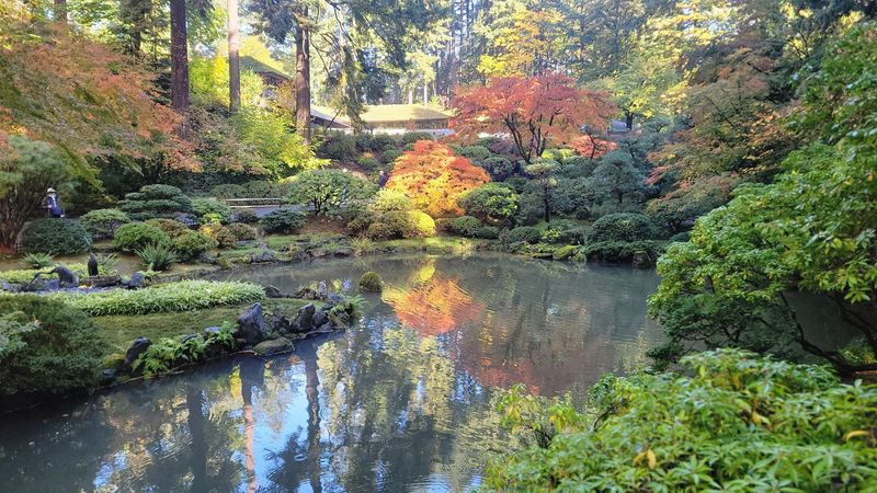 Fall Foliage That Transforms the Entire Garden