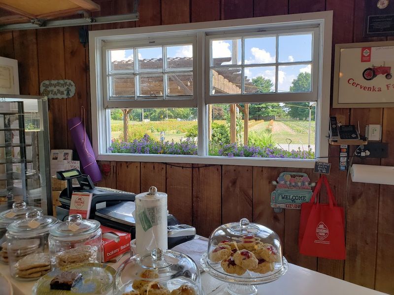 Fresh-Baked Goods That Make Leaving Very Difficult