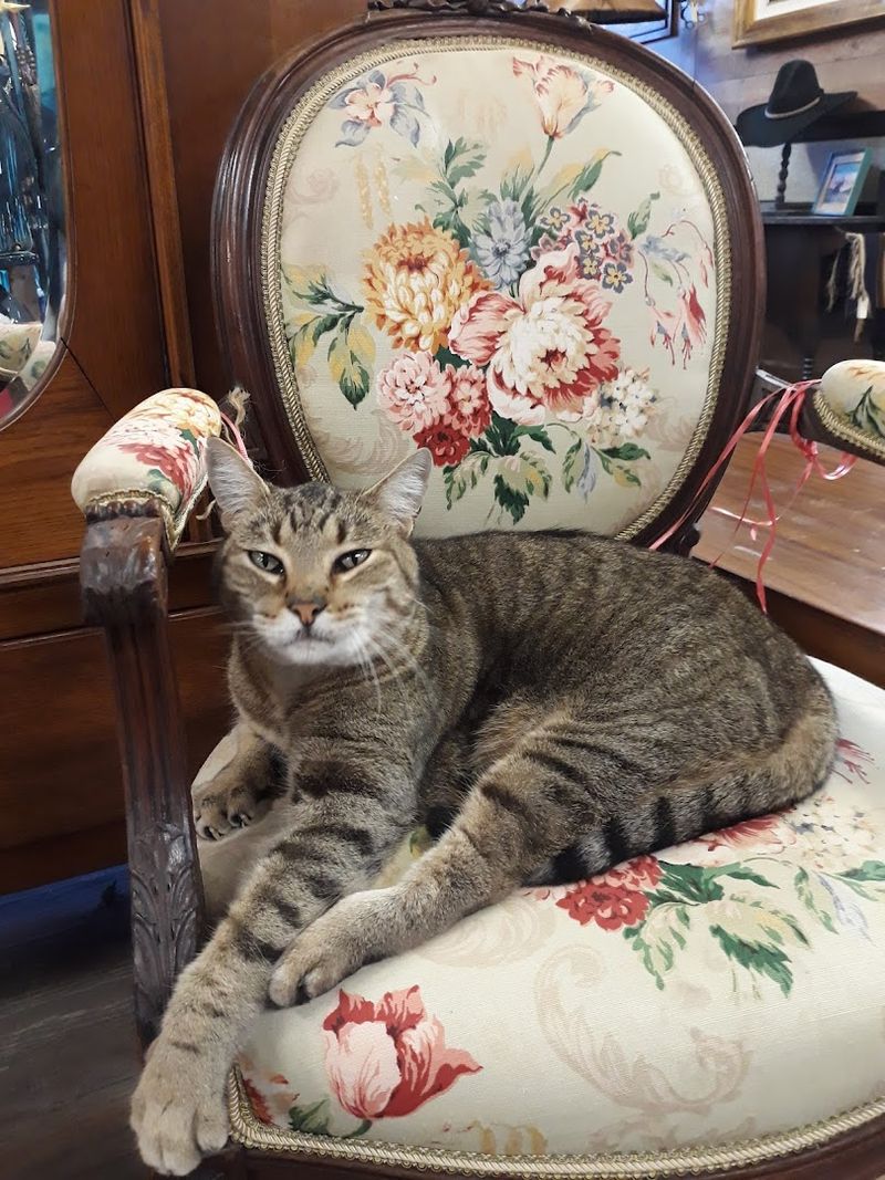 Furniture With Character and History Baked In