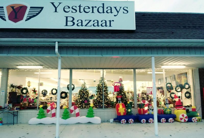 Food Trucks That Fuel the Fun