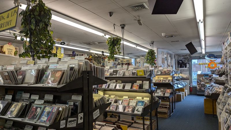 CDs and DVDs for the Full Music and Movie Experience