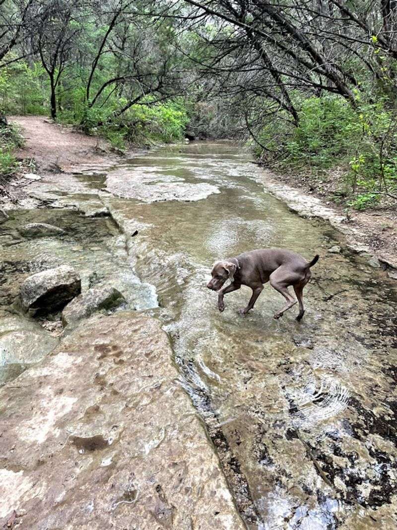 Turkey Creek Trail, Emma Long Metropolitan Park, Austin