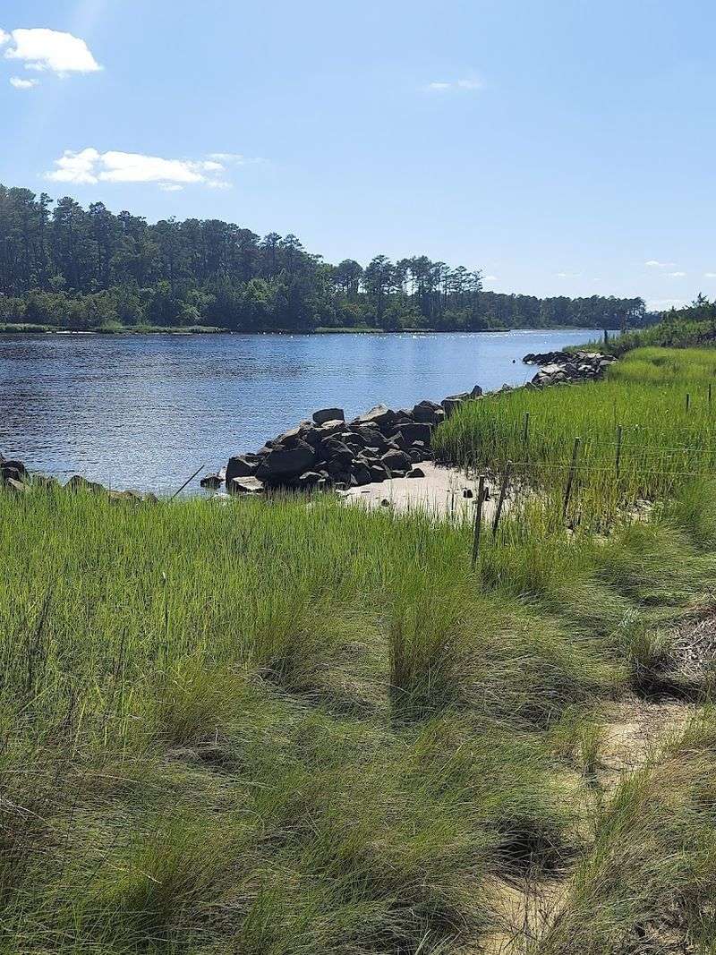 Chesapeake: The Quietly Massive City That Prefers Its Marshes Over Metro Lines