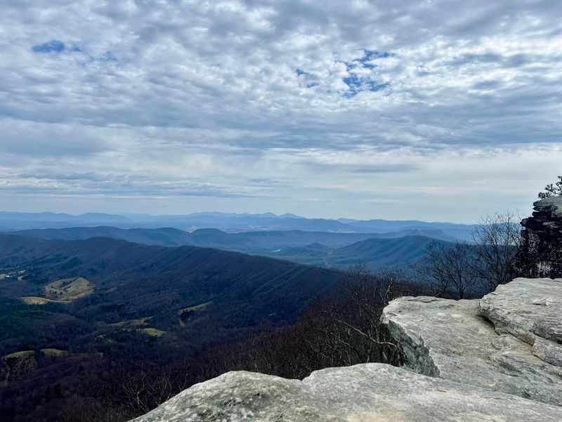 Wildlife and Flora Along the Trail