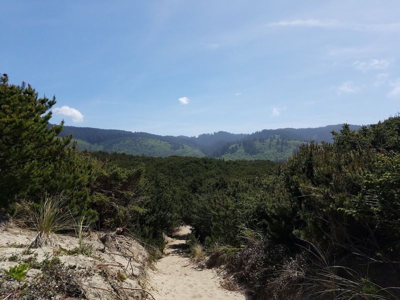 Why This Place Deserves More Than a Drive-By