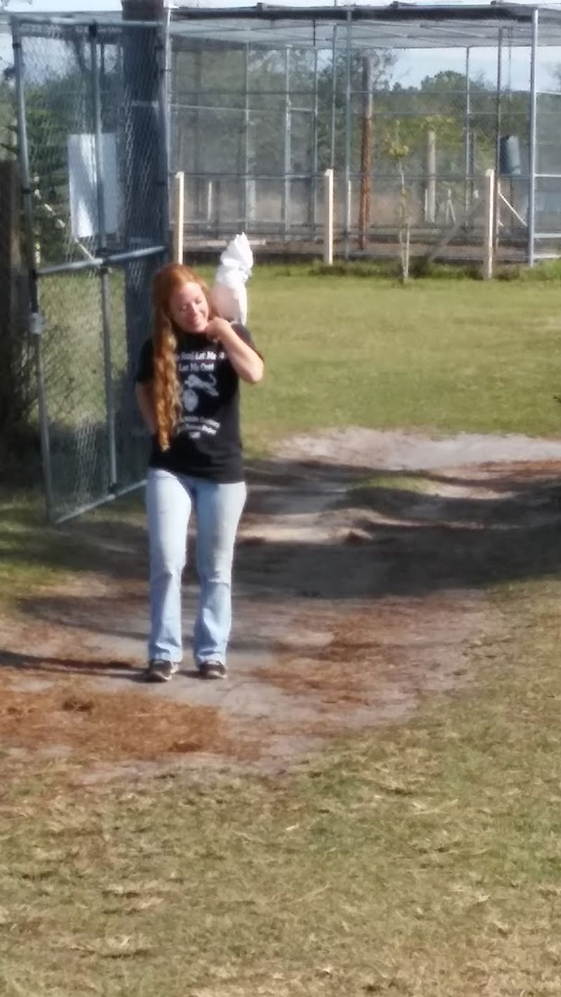 Educational Tours That Actually Teach Something