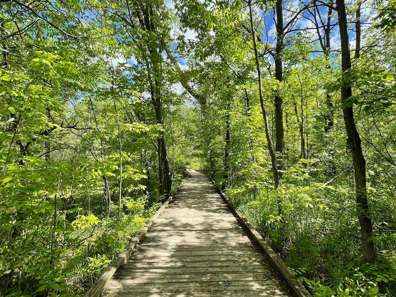 Trails Through the Tension: Hiking Where Restoration Meets Reality