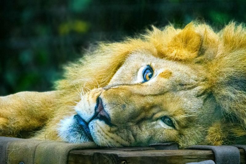 Exploring the Surrounding Area Near Center Point