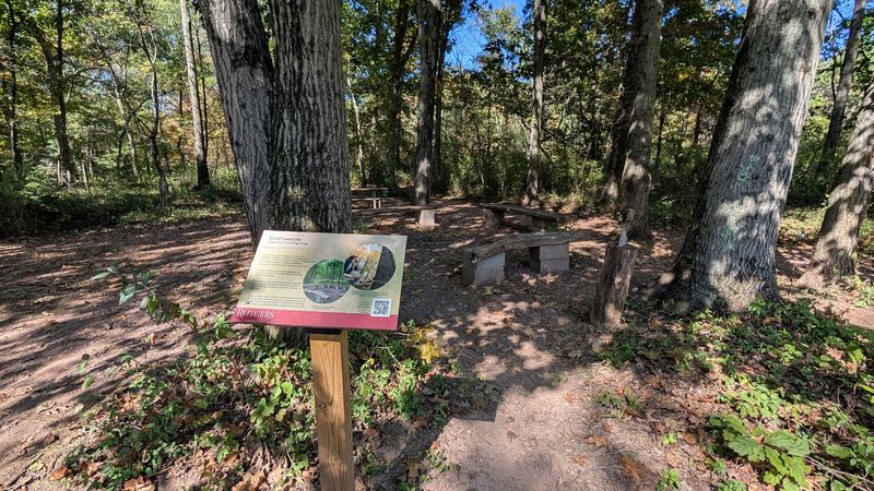 Woodlands, Wetlands, and Meadows: Three Ecosystems in One Walk Woodlands, Wetlands, and Meadows: Three Ecosystems in One Walk
